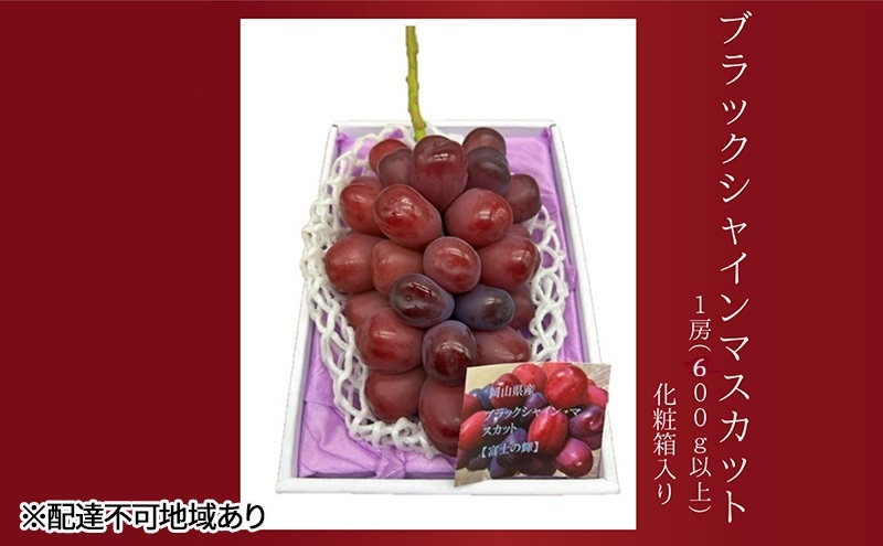 ぶどう 2026年 先行予約 ブラックシャインマスカット1房（600ｇ以上）化粧箱入り ブドウ 葡萄 岡山県産 国産 フルーツ 果物 ギフト