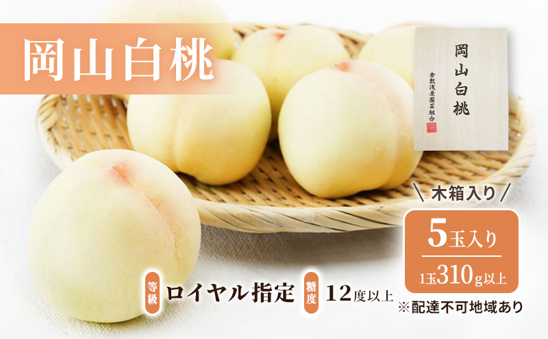 桃 2026年 先行予約 岡山 白桃 5玉（1玉310ｇ以上）等級：ロイヤル指定／糖度：12度以上 木箱入り もも モモ 岡山県産 国産 フルーツ 果物 ギフト