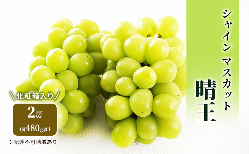 ぶどう 2026年 先行予約 シャイン マスカット 晴王 2房 (1房480g以上) 化粧箱入り ブドウ 葡萄 岡山県産 国産 フルーツ 果物 ギフト