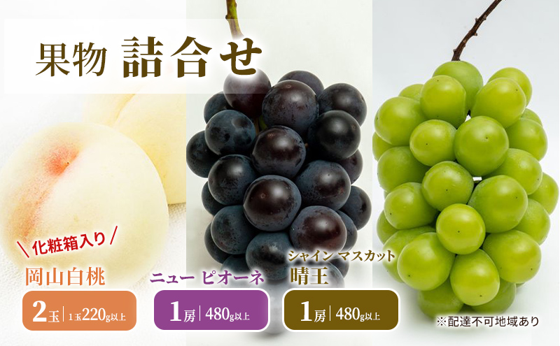 フルーツ 2024年 先行予約 果物 詰合せ 岡山 白桃2玉(1玉220g以上)・ニュー ピオーネ 1房 480g以上・ シャイン マスカット 晴王 1房 480g以上 化粧箱入り 桃 葡萄 岡山県産