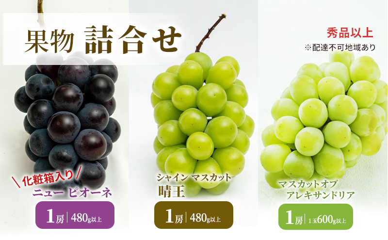 ぶどう 2024年 先行予約 果物 詰合せ ニュー ピオーネ 1房 480g以上・ シャイン マスカット 晴王 1房 480g以上・マスカットオブ・アレキサンドリア 1房 600g以上・秀品以上