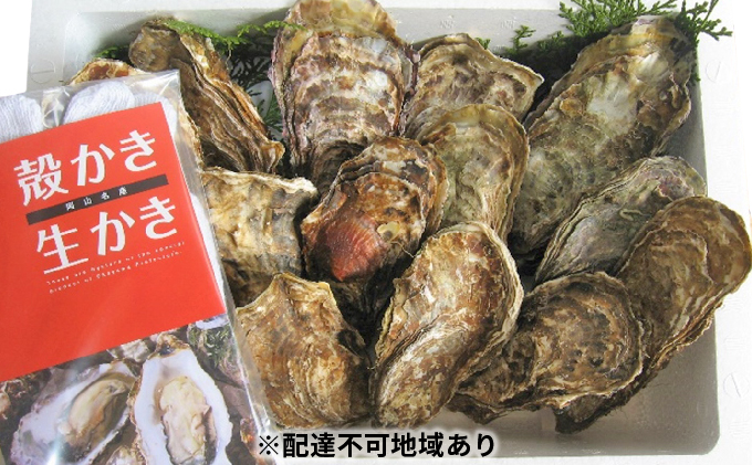 牡蠣 2026年 先行予約 殻付き 大つぶ牡蠣 30個 山銀商店 瀬戸内海虫明湾産 大粒