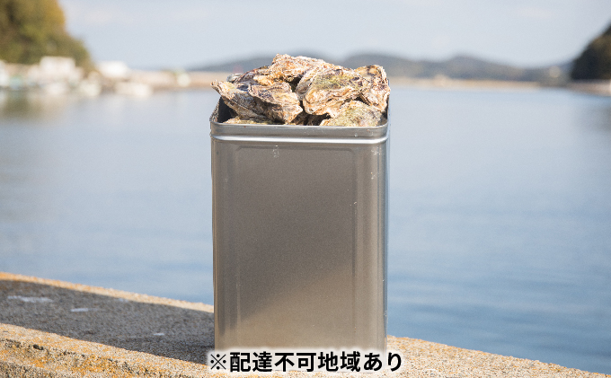 牡蠣 2026年 先行予約 殻付き牡蠣 お徳用 一斗缶 （小粒 約100個、約10kg） 山銀商店 瀬戸内海虫明湾産 生牡蠣 かき 魚介類 カキ 軍手 ナイフ付き 加熱調理用