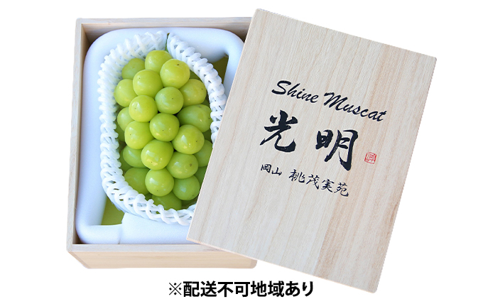 ぶどう 早期受付 極上追熟 シャイン マスカット 1房 650g以上 「光明」桐箱入り ブドウ 葡萄 岡山県産 国産 フルーツ 果物 ギフト 桃茂実苑 果物類