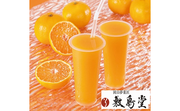 敷島堂 飲む 岡山瀬戸内みかんジュレ 6本入