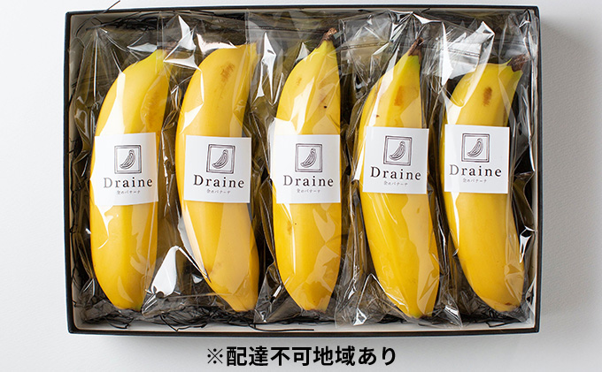 皮ごと食べられる！Draine 金のバナーナ 5本（1本140g～170g 農薬不使用国産バナナ）