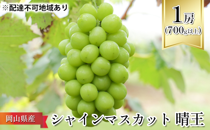 ぶどう 2026年 先行予約 シャイン マスカット 晴王 1房（700g以上）化粧箱入り マスカット ブドウ 葡萄  岡山県産 国産 フルーツ 果物 ギフト シャインマスカット 贈答箱