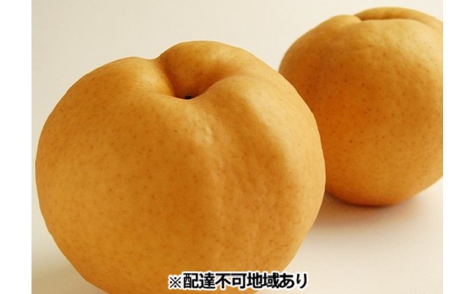 梨 早期受付 岡山 の あたご 梨 2～3玉（2kg以上） 合計2kg以上 なし ナシ 岡山県産 国産 フルーツ 果物 ギフト桃茂実苑 あたご梨 糖度12.5度以上 2キロ