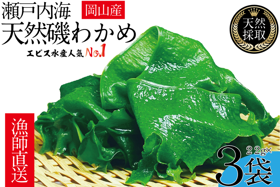 風味豊かな 瀬戸内 わかめ 22g×3袋 エビス水産【岡山 瀬戸内海 天然 カットわかめ】