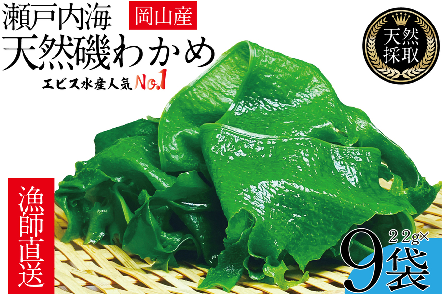 風味豊かな 瀬戸内 わかめ 22g×9袋 エビス水産【岡山 瀬戸内海 天然 カットわかめ】