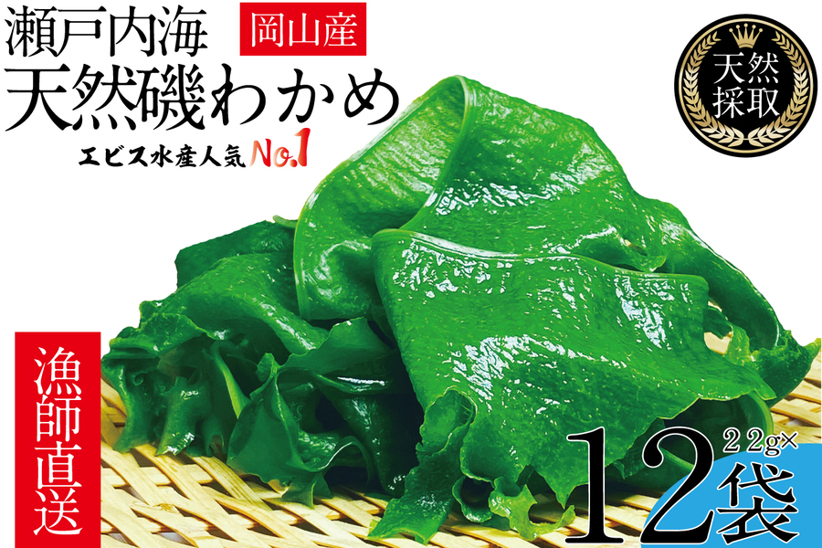 風味豊かな 瀬戸内 わかめ 22g×12袋 エビス水産【岡山 瀬戸内海 天然 カットわかめ】