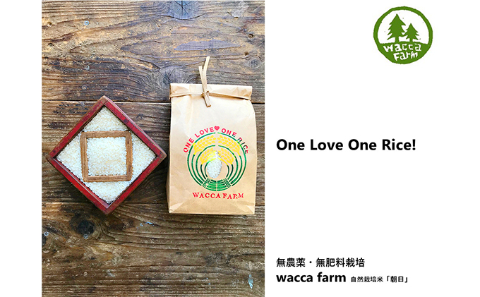 瀬戸内自然栽培米 令和7年産「朝日」5分づき 5kg お米 エネルギー 無農薬 無肥料 有機肥料 旨味 おいしい 太陽 光 貴重 丁寧 難しい