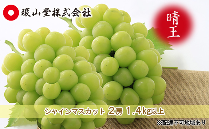 ぶどう 2026年 先行予約 シャイン マスカット 晴王 2房 合計1.4kg以上 マスカット ブドウ 葡萄 岡山県産 国産 フルーツ 果物 ギフト 環山堂 大粒 種無し 甘い 香り 皮ごと 高糖度 贈り物