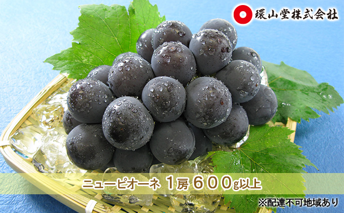 ぶどう 2026年 先行予約 ニュー ピオーネ 1房 600g以上 ブドウ 葡萄 岡山県産 国産 フルーツ 果物 ギフト 環山堂 大粒 種無し 甘い 甘酸っぱさ 人気 香り 高糖度 美しい 贈り物 ギフト