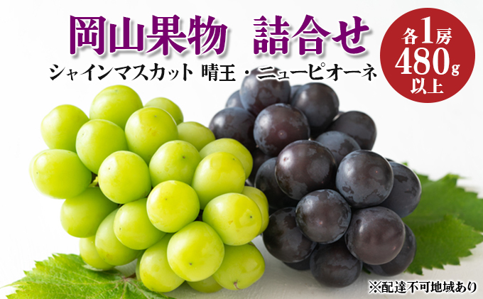 ぶどう 2024年 先行予約 岡山果物 詰合せ ニュー ピオーネ 1房 480g以上／ シャイン マスカット 1房 晴王 480g以上 化粧箱入り ブドウ 葡萄  岡山県産 国産 フルーツ 果物