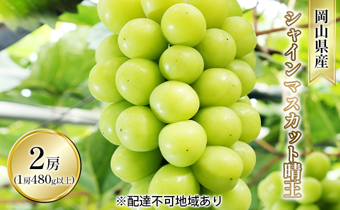 ぶどう 2026年 先行予約 シャイン マスカット 晴王 2房入り（1房 480g以上 ハウス栽培） ブドウ 葡萄  岡山県産 国産 フルーツ 果物 ギフト 岡山の葡萄