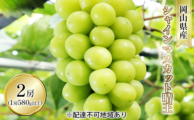 ぶどう 2026年 先行予約 シャイン マスカット 晴王 2房入り（1房 580g以上 露地栽培） ブドウ 葡萄  岡山県産 国産 フルーツ 果物 ギフト 岡山の葡萄