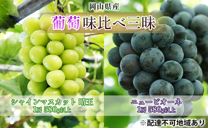 ぶどう 2026年 先行予約 葡萄 味比べ三昧 シャイン マスカット 晴王 1房 580g以上 ニュー ピオーネ 1房 580g以上（ハウス栽培）詰合せ ブドウ 葡萄  岡山県産 国産 フルーツ 果物 ギフト 岡山の葡萄 食べ比べ