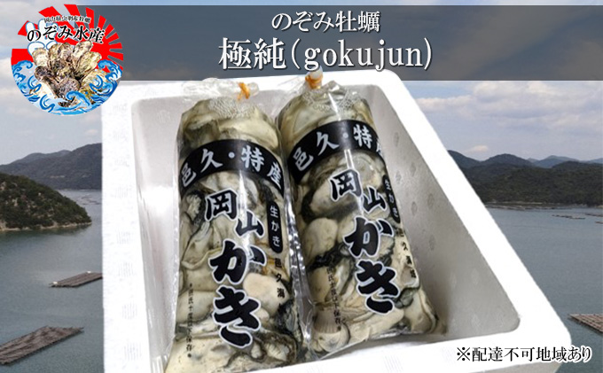 のぞみ 牡蠣  2026年先行予約 ［極純]  剥き身 （ 一年牡蠣 ）500g×2パック 簡単レシピ 付き 魚貝類 海の幸 海のミルク 海鮮 貝 濃厚 産地直送 取れたて 新鮮 食材 剥き牡蠣