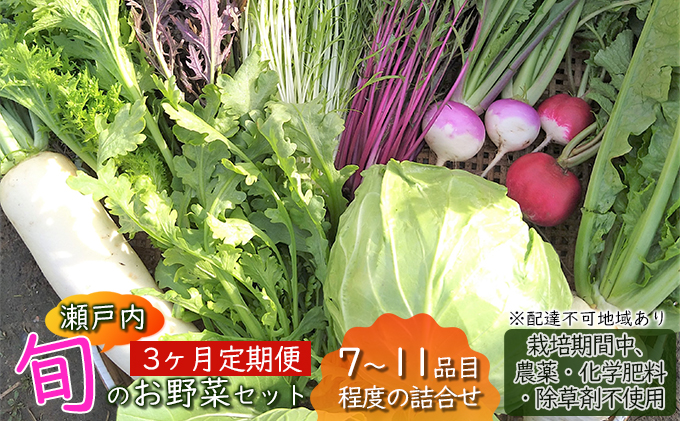 3ヶ月 定期便 瀬戸内「旬」のお野菜セット 7～11品目程度の詰合せ 野菜 農薬 化学肥料 除草剤不使用 岡山 M’s farm