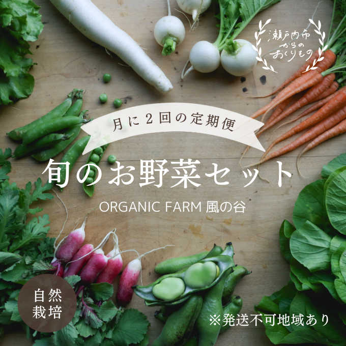 ORGANIC FARM 風の谷 旬 の 野菜 セット 9ヶ月 定期便 (月2回お届けコース)