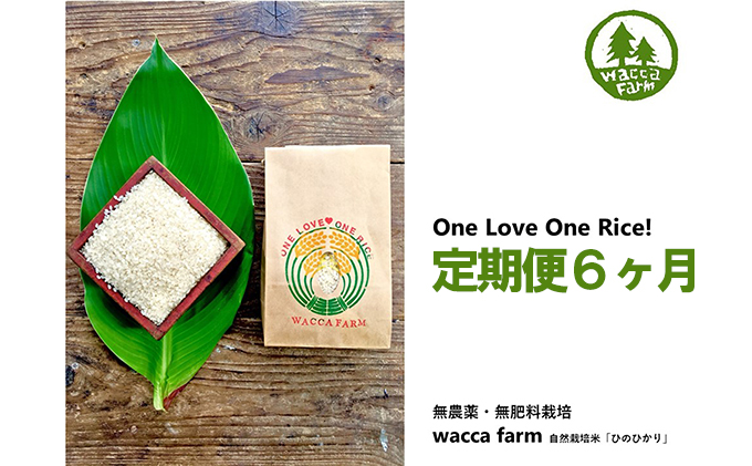 定期便6ヶ月 瀬戸内自然栽培米「ひのひかり」5分づき 5kg