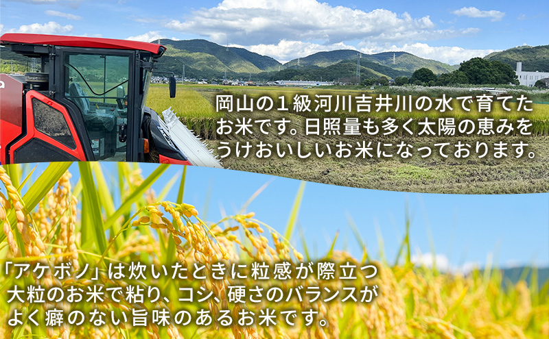令和7年度産 新米 玄米 あけぼの 10kg 米 お米 コメ おこめ 岡山 瀬戸内市