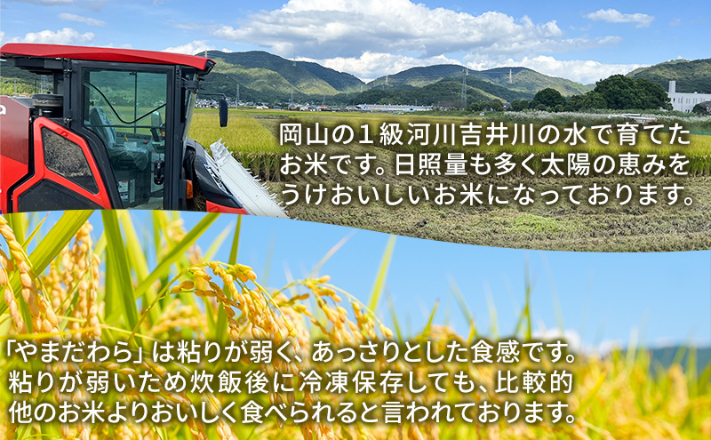 令和7年度産 新米 玄米 やまだわら 10kg 米 お米 コメ おこめ 岡山 瀬戸内市