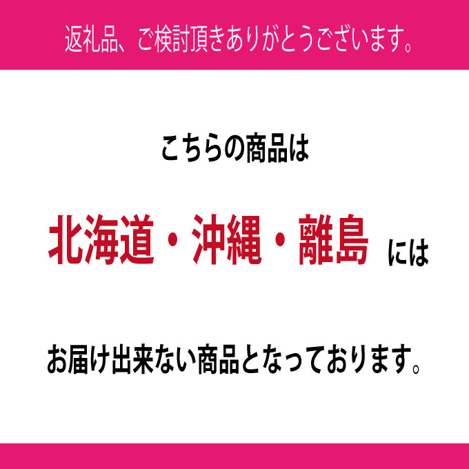 【定期便 全2回】 ぶどう 2026年 先行予約 9月・10月発送 シャインマスカット 晴王 1房 約600g ブドウ 葡萄 岡山県産 国産 フルーツ 果物 ギフト