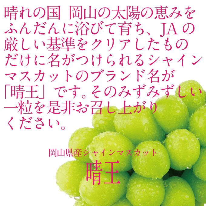 【定期便 全2回】 ぶどう 2026年 先行予約 9月・10月発送 シャインマスカット 晴王 2房 合計約1.3kg ブドウ 葡萄 岡山県産 国産 フルーツ 果物 ギフト