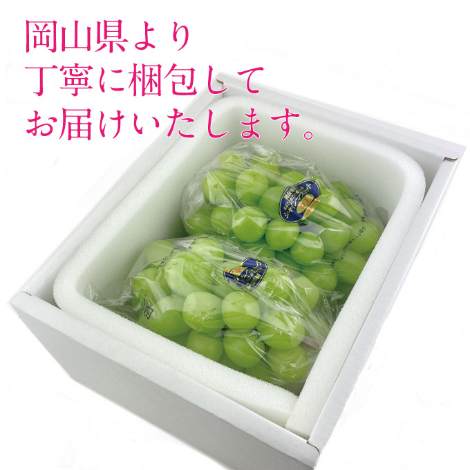 【定期便 全2回】 ぶどう 2026年 先行予約 9月・10月発送 シャインマスカット 晴王 2房 合計約1.3kg ブドウ 葡萄 岡山県産 国産 フルーツ 果物 ギフト