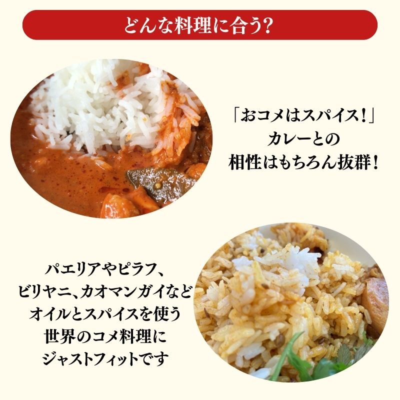 令和7年産 サリークイーン500g×2袋 300g×4袋 香り米 米 こめ　セット