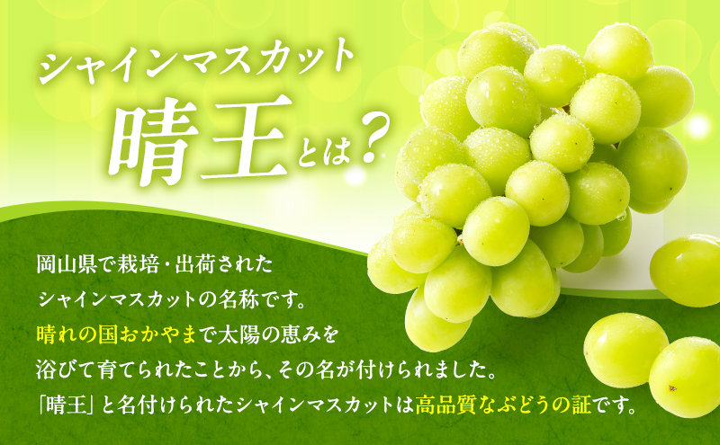 ぶどう 2025年 先行予約 シャイン マスカット 晴王 1房 650g以上 2025年6月下旬～7月下旬発送分 ブドウ 葡萄 岡山県 赤磐市産 国産 フルーツ 果物 ギフト 赤坂青空市