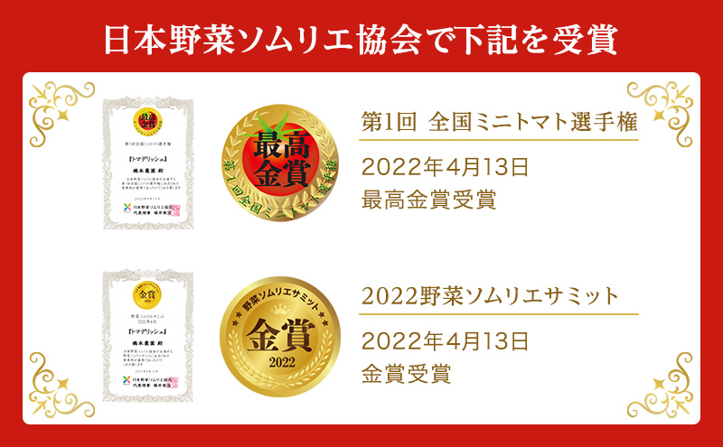 フルーツ トマト ［2026年先行予約］ トマデリッシュ 約1.2kg 橋本農園 岡山 野菜 高糖度 旨味 弾力 果実 甘い サラダ そのまま 岡山県産 緑黄色野菜