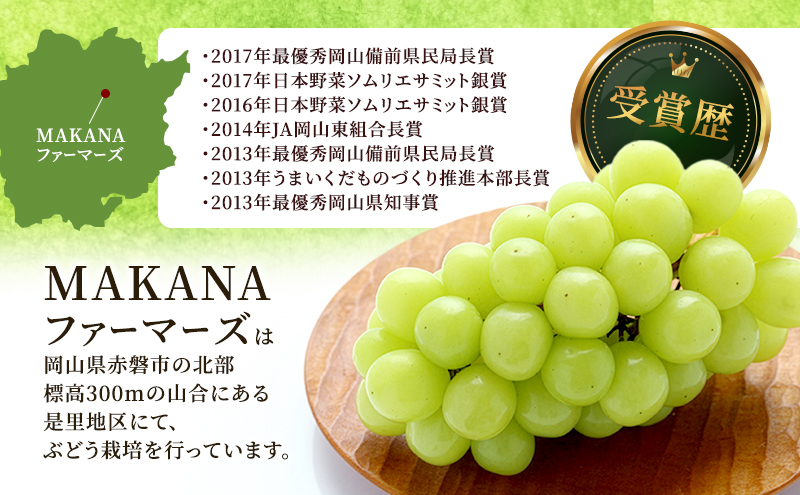 ぶどう 2026年 先行予約 シャイン マスカット 2房 （1房700g～800g） 大粒 種無し ブドウ 葡萄 岡山県 赤磐市産 国産 フルーツ 果物 ギフト MAKANAファーマーズ 種なし 皮ごと デザート