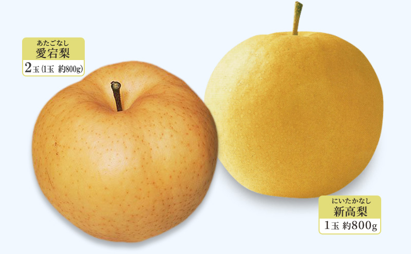 梨 柿 2025年 岡山県赤磐市 フルーツ満喫！ 愛宕梨・新高梨・ヤーリー・愛宕柿 詰め合わせ なし かき 果物