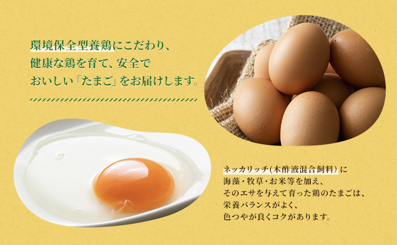 卵 赤玉 ネッカリッチ卵 50個入り 鶏卵 たまご