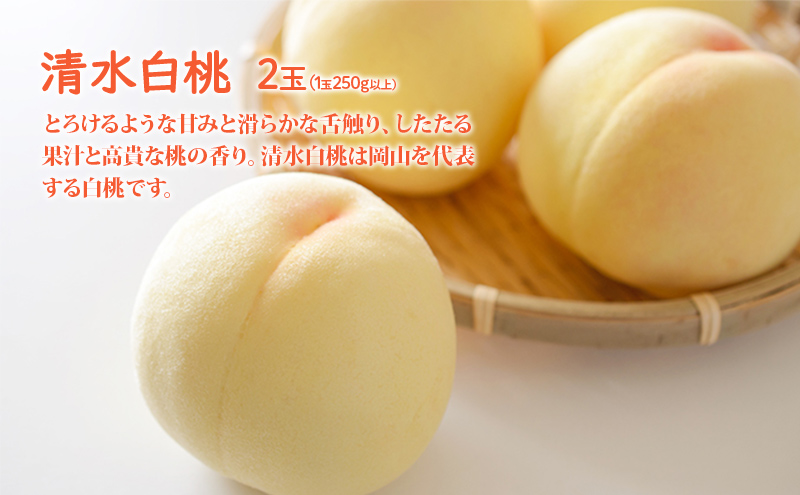 桃 ぶどう 詰合せ 2025年 先行予約 清水 白桃 2玉（1玉250g以上） ニュー ピオーネ 1房 約600g 岡山県 赤磐市産 フルーツ 果物 あかいわファーマーズガーデン