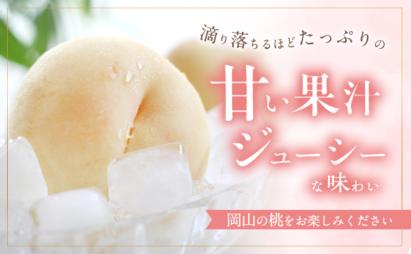 桃 2026年 先行予約 訳あり品 白桃 白鳳 約1.8kg 5～7玉 もも モ
