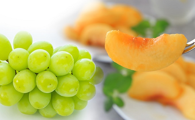 桃 ぶどう 2025年 先行予約 黄金桃 1.5kg シャインマスカット 晴王 2房 1房550g以上 2回に分けてお届け！もも 葡萄 定期便 岡山 国産 フルーツ 果物 ギフト 桃茂実苑