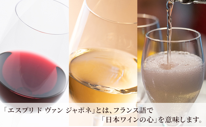 ワイン グランポレール エスプリ ド ヴァン ジャポネ 飲み比べ 12本セット 絢 -AYA-、泉 -SEN-、唯-YUI- 赤ワイン 白ワイン スパークリングワイン サッポロビール 岡山ワイナリー