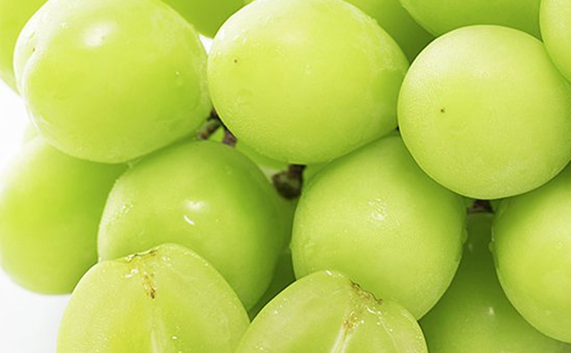 早期受付 シャイン マスカット 2房（1房650g以上） 桃茂実苑