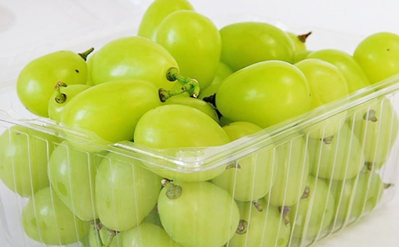 早期受付 シャイン マスカット 1パック（750g以上）  桃茂実苑