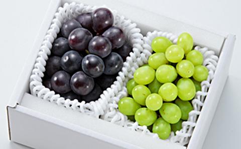 ぶどう 2026年 先行予約 シャイン マスカット 晴王 1房 ニューピオーネ 大粒 大房 1房 合計1.3kg以上 ブドウ 葡萄 岡山県 赤磐市産 国産 フルーツ 果物 ギフト 赤坂青空市 果物類