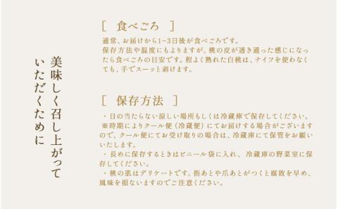 桃 2026年 先行予約 おかやま 夢 白桃 5～6玉入り(約1.5kg) 贈答用 もも モモ 岡山県 赤磐市産 国産 フルーツ 果物 ギフト