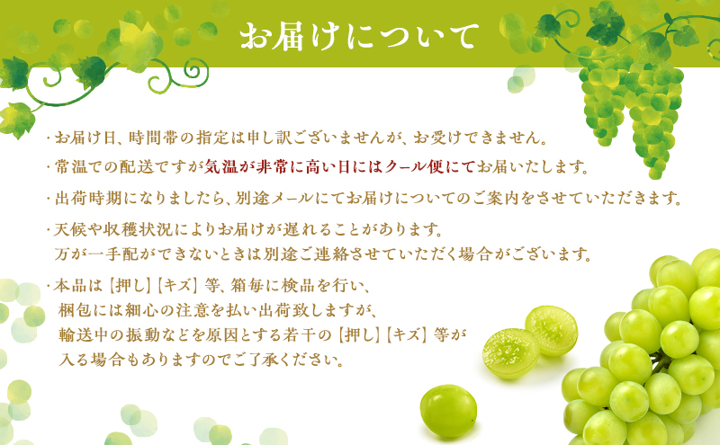 ぶどう 2026年 先行予約 シャイン マスカット 1房 約800g 贈答箱 ブドウ 葡萄 フルーツ 果物 岡山 赤磐市産 農マル園芸 あかいわ農園 果物類 シャインマスカット