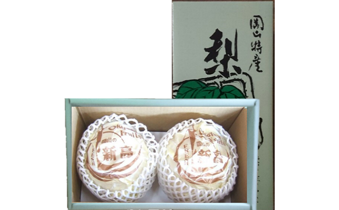 梨 2025年 先行予約 新高梨 2玉 約1.6kg（1玉約800g）岡山県 赤磐市産【配達不可：離島】 なし フルーツ 果物 ナシ 果物類