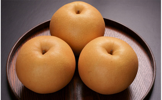 梨 2025年 先行予約 新高梨 4玉～6玉 約4.0kg（1玉約800g）岡山県赤磐市産【配達不可：離島】 なし フルーツ 果物 ナシ 果物類