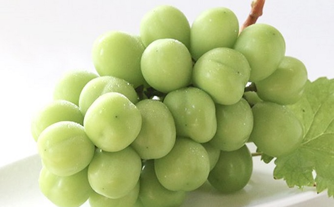 ぶどう 2026年 先行予約 シャインマスカット 晴王 2房（1房550g以上） シャイン マスカット ブドウ 葡萄 岡山県産 国産 フルーツ 果物 ギフト桃茂実苑 果物類