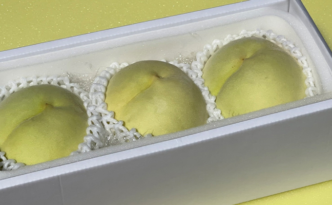 桃 2026年 先行予約 白桃 冬美白 とうびはく 3玉 1玉約350g もも モモ 令和7年 岡山 赤磐市産 国産 フルーツ 果物 ギフト 果肉 しっかり 柔らかい 食感 大変貴重 高糖度 栽培方法